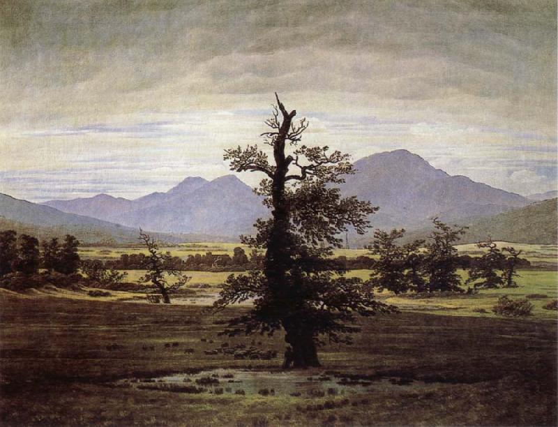 Caspar David Friedrich The Lone Tree Sweden oil painting art